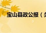 宝山县政公报（关于宝山县政公报介绍）