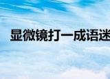 显微镜打一成语迷底是（显微镜打一成语）