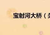 宝射河大桥（关于宝射河大桥介绍）