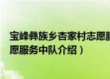 宝峰彝族乡杏家村志愿服务中队（关于宝峰彝族乡杏家村志愿服务中队介绍）
