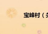 宝峰村（关于宝峰村介绍）