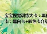 宝宝视觉训练大卡：黑白卡+彩色卡（关于宝宝视觉训练大卡：黑白卡+彩色卡介绍）