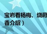 宝岩看杨梅、烧莳香（关于宝岩看杨梅、烧莳香介绍）