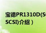 宝德PR1310D(SCSI)（关于宝德PR1310D(SCSI)介绍）