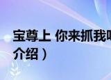 宝尊上 你来抓我呀（关于宝尊上 你来抓我呀介绍）