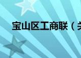 宝山区工商联（关于宝山区工商联介绍）