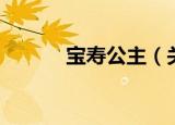 宝寿公主（关于宝寿公主介绍）