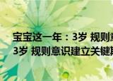 宝宝这一年：3岁 规则意识建立关键期（关于宝宝这一年：3岁 规则意识建立关键期介绍）