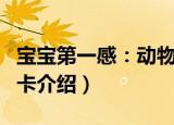 宝宝第一感：动物卡（关于宝宝第一感：动物卡介绍）