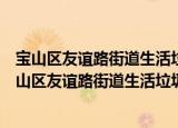 宝山区友谊路街道生活垃圾全程分类志愿服务小队（关于宝山区友谊路街道生活垃圾全程分类志愿服务小队介绍）