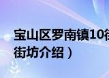 宝山区罗南镇10街坊（关于宝山区罗南镇10街坊介绍）