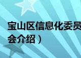 宝山区信息化委员会（关于宝山区信息化委员会介绍）