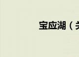 宝应湖（关于宝应湖介绍）