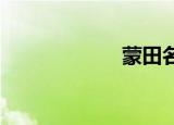 蒙田名片识别系统