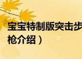 宝宝特制版突击步枪（关于宝宝特制版突击步枪介绍）