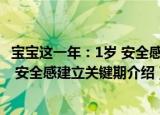 宝宝这一年：1岁 安全感建立关键期（关于宝宝这一年：1岁 安全感建立关键期介绍）