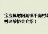 宝应县射阳湖镇平南村老龄协会（关于宝应县射阳湖镇平南村老龄协会介绍）