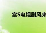 宫S电视剧风来君相忆（宫s电视剧）