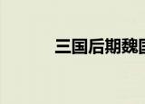 三国后期魏国名将（魏国名将）