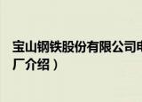 宝山钢铁股份有限公司电厂（关于宝山钢铁股份有限公司电厂介绍）