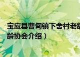 宝应县曹甸镇下舍村老龄协会（关于宝应县曹甸镇下舍村老龄协会介绍）
