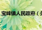 宝峰镇人民政府（关于宝峰镇人民政府介绍）
