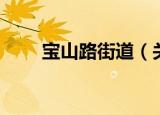 宝山路街道（关于宝山路街道介绍）