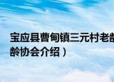 宝应县曹甸镇三元村老龄协会（关于宝应县曹甸镇三元村老龄协会介绍）