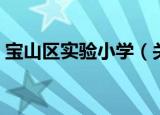 宝山区实验小学（关于宝山区实验小学介绍）