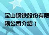 宝山钢铁股份有限公司（关于宝山钢铁股份有限公司介绍）