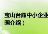 宝山台鼎中小企业园（关于宝山台鼎中小企业园介绍）