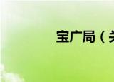 宝广局（关于宝广局介绍）