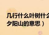 几行什么叶树什么夕阳山（几行红叶树 无数夕阳山的意思）
