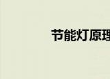 节能灯原理?（节能灯原理）
