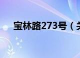 宝林路273号（关于宝林路273号介绍）