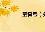 宝森号（关于宝森号介绍）