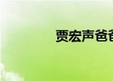 贾宏声爸爸（贾宏声父亲）