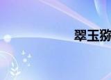 翠玉猕猴桃（翠玉）