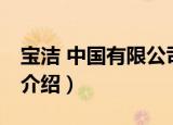 宝洁 中国有限公司（关于宝洁 中国有限公司介绍）