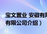 宝文置业 安徽有限公司（关于宝文置业 安徽有限公司介绍）