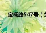 宝杨路547号（关于宝杨路547号介绍）