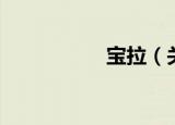 宝拉（关于宝拉介绍）