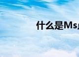 什么是Ms点（什么是msn）