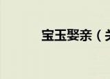 宝玉娶亲（关于宝玉娶亲介绍）