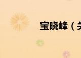 宝晓峰（关于宝晓峰介绍）
