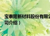 宝泰隆新材料股份有限公司（关于宝泰隆新材料股份有限公司介绍）