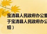 宝清县人民政府办公室关于印发县政府领导分工的通知（关于宝清县人民政府办公室关于印发县政府领导分工的通知介绍）