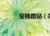 宝杨路站（关于宝杨路站介绍）
