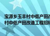 宝源乡玉丰村中低产田改造工程招标公告（关于宝源乡玉丰村中低产田改造工程招标公告介绍）