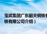 宝武集团广东韶关钢铁有限公司（关于宝武集团广东韶关钢铁有限公司介绍）